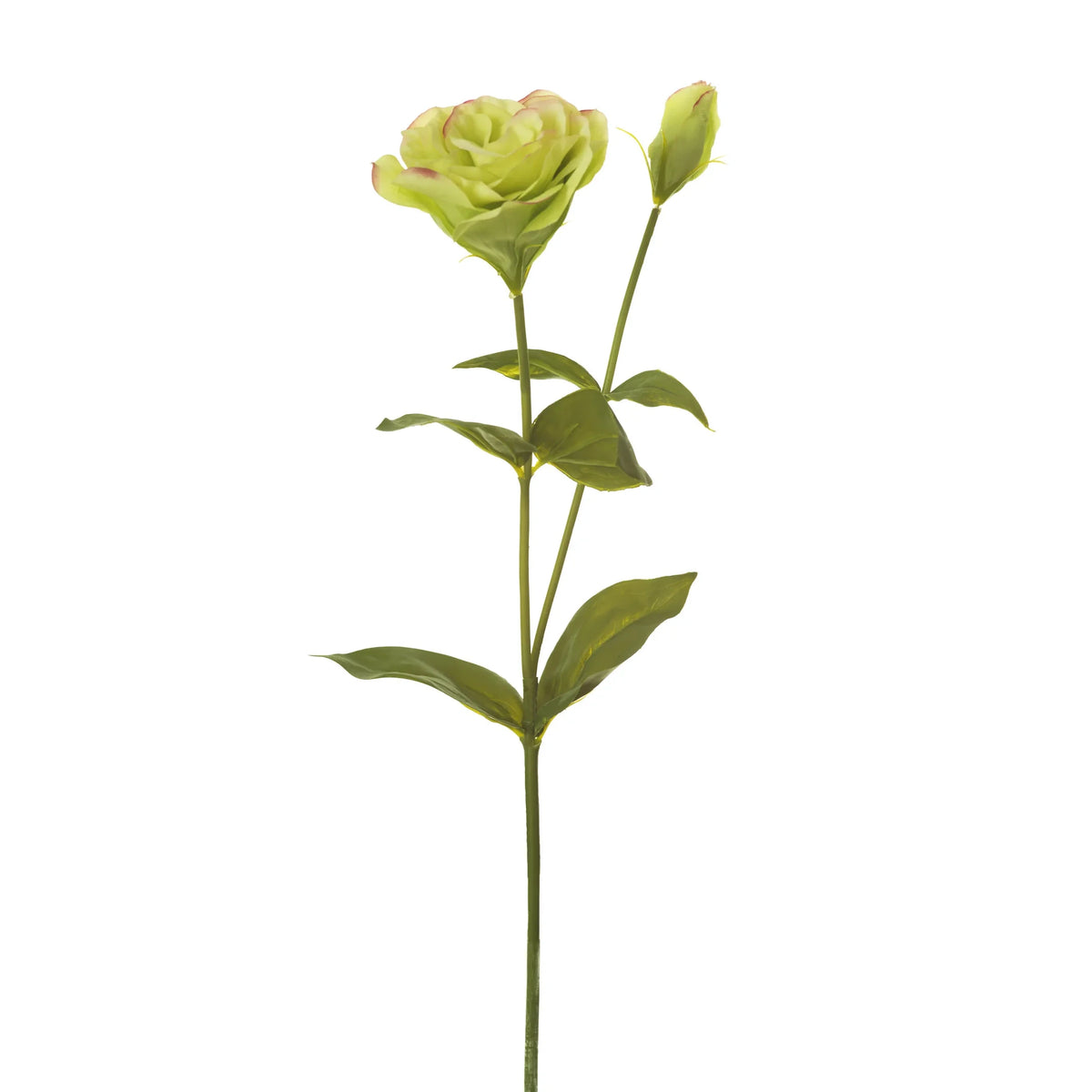 Lisianthus artificial de 60 cm, color verde