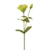 Lisianthus artificial de 60 cm, color verde