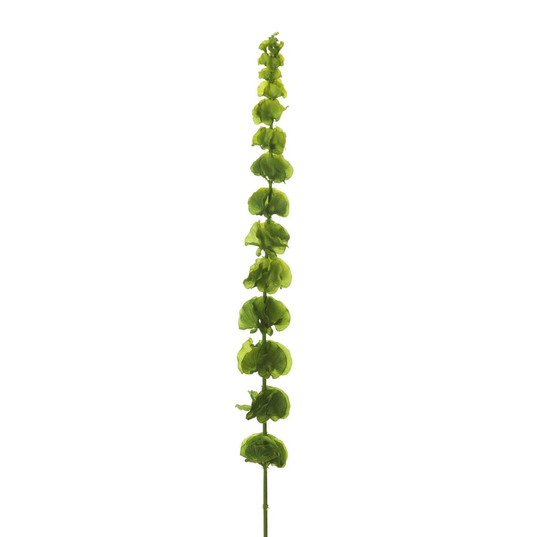 Molucela artificial de 120 cm, color verde
