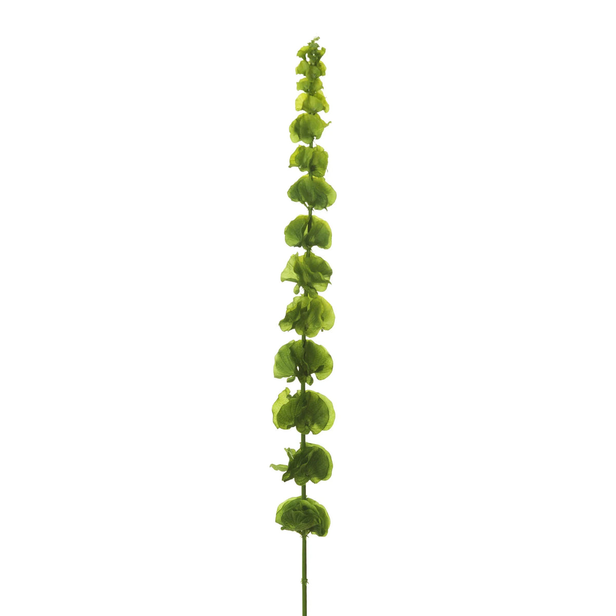 Molucela artificial de 120 cm, color verde