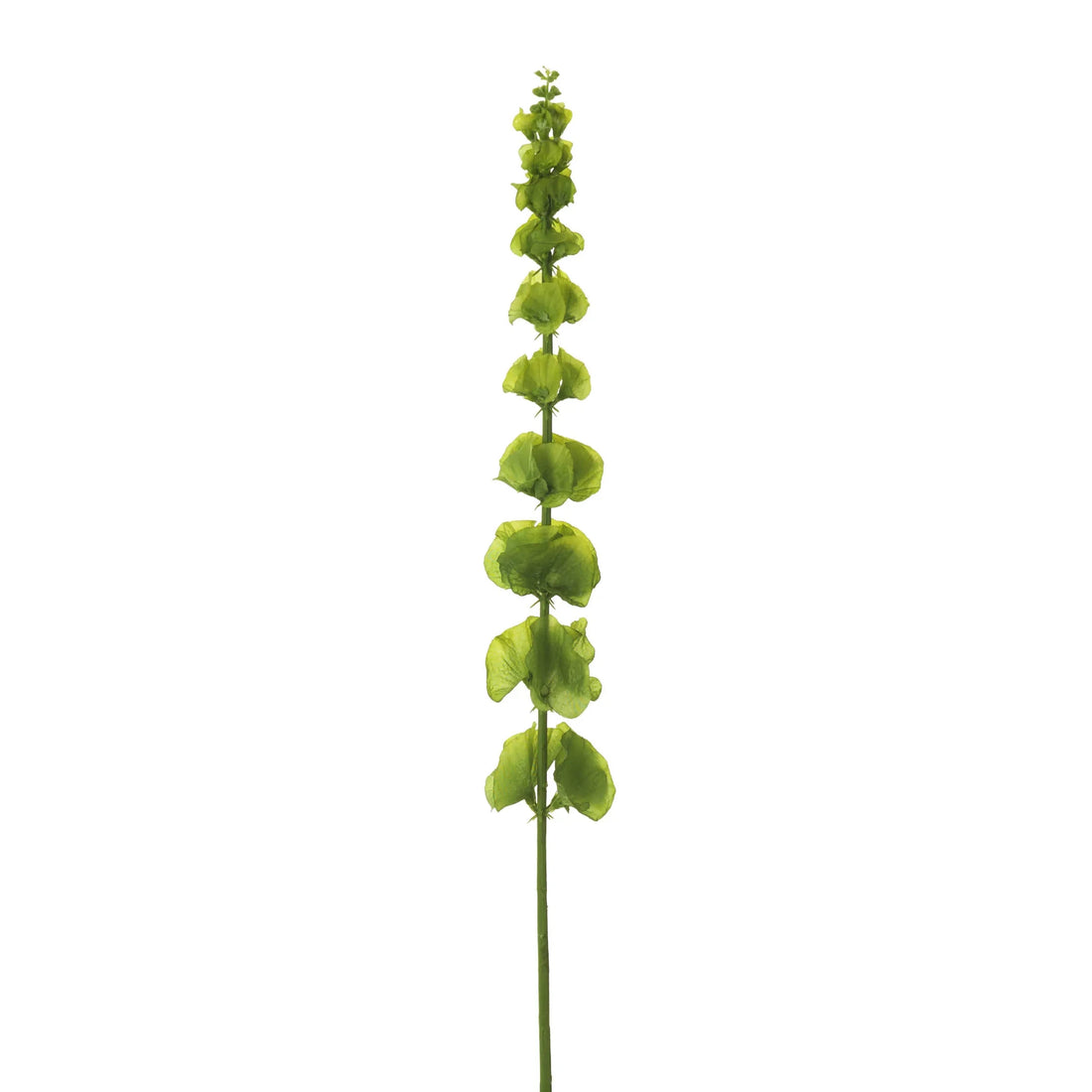 Molucela artificial de 78 cm, color verde