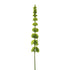 Molucela artificial de 78 cm, color verde