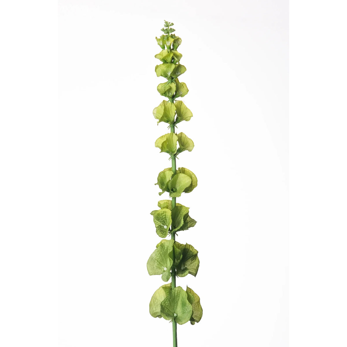 Molucela artificial de 78 cm, color verde