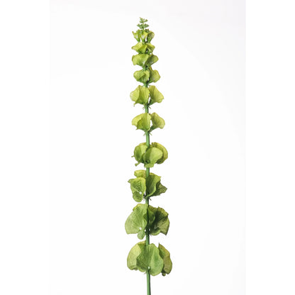 Molucela artificial de 78 cm, color verde