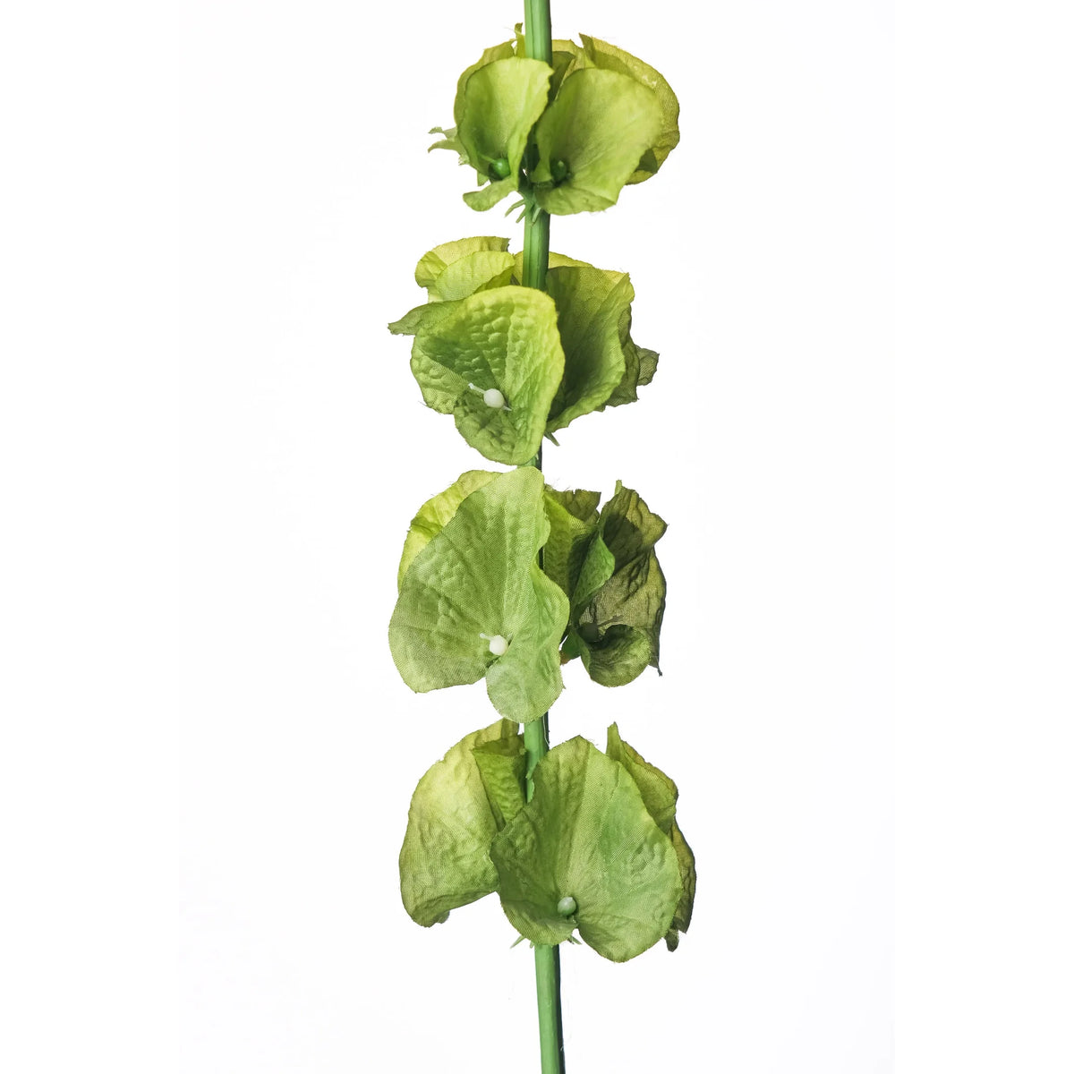 Molucela artificial de 78 cm, color verde