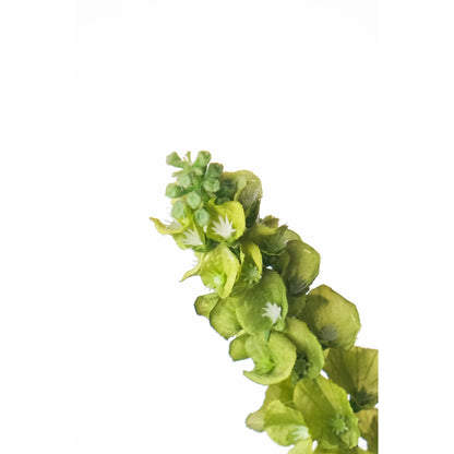 Molucela artificial de 78 cm, color verde
