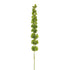 Molucela artificial de 98 cm, color verde