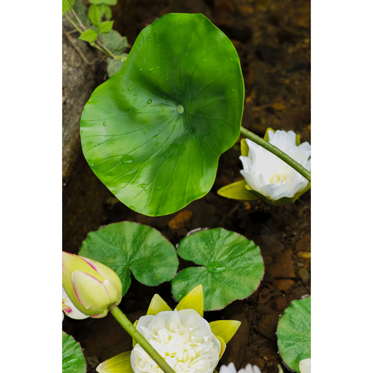 Montaje: nenúfar artificial Flotante Grande de 17 cm, color blanco; las otras piezas no se incluyen
