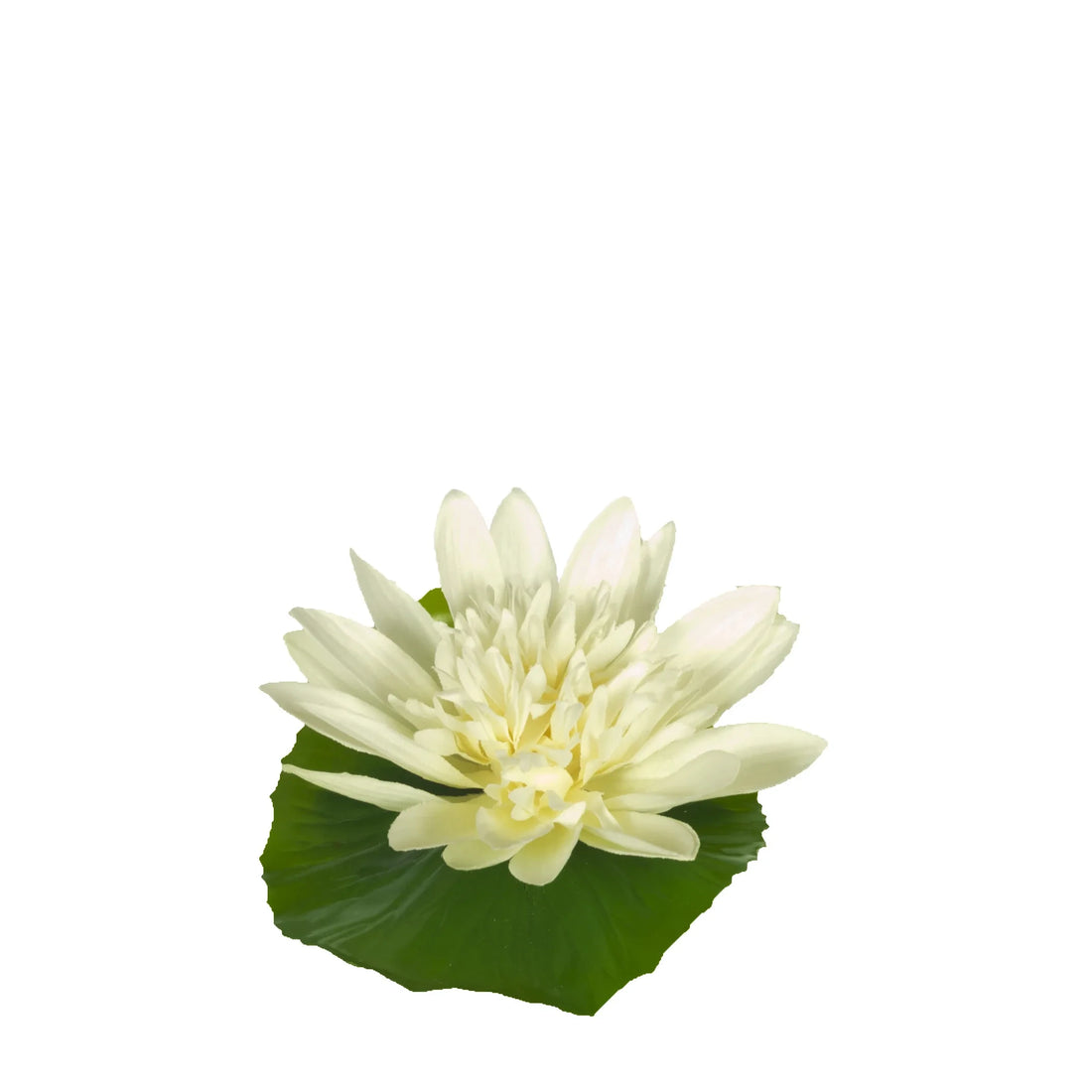 Nenúfar artificial Flotante Pequeño de 11 cm, color blanco
