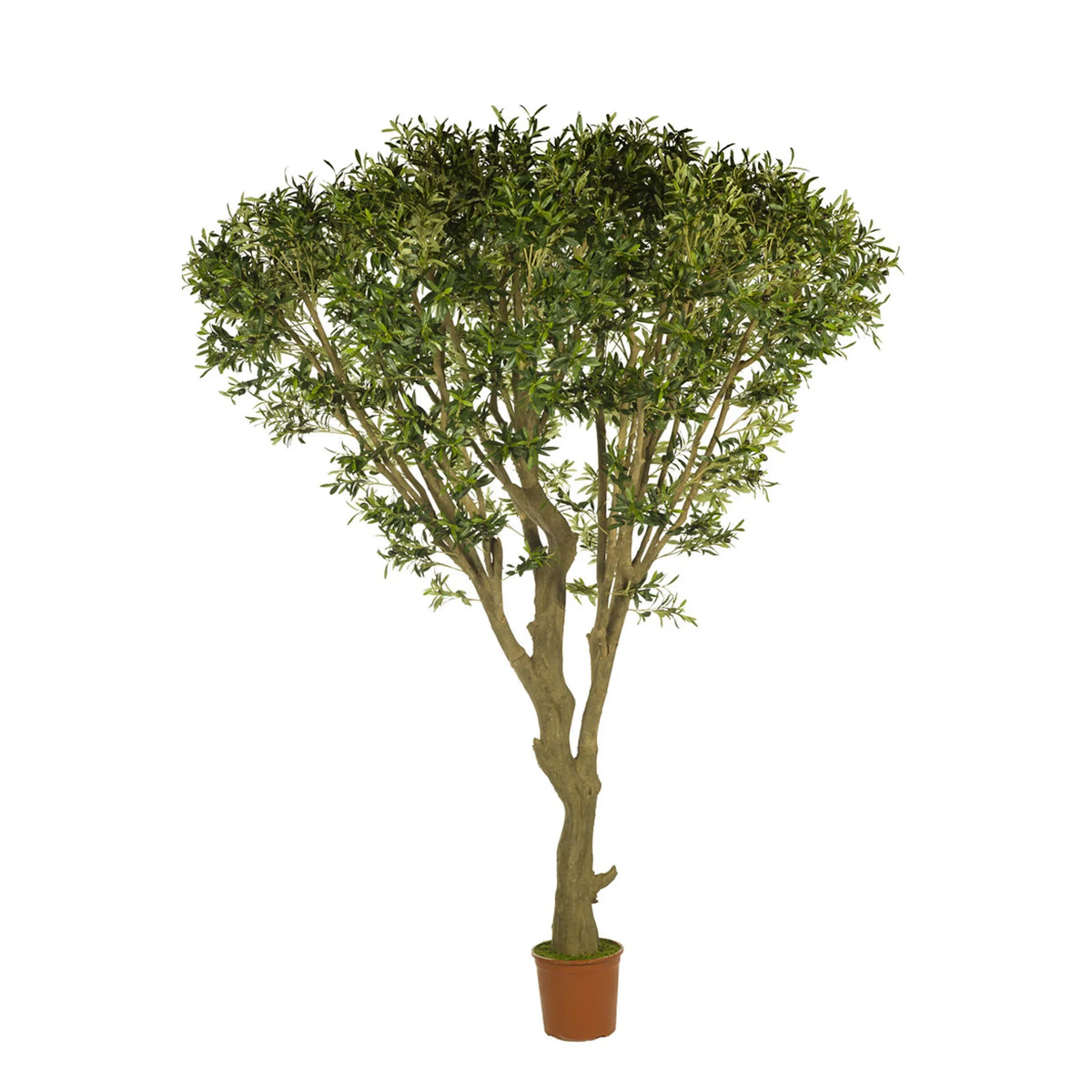 Olivo artificial de 250 cm, color verde