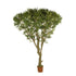 Olivo artificial de 250 cm, color verde
