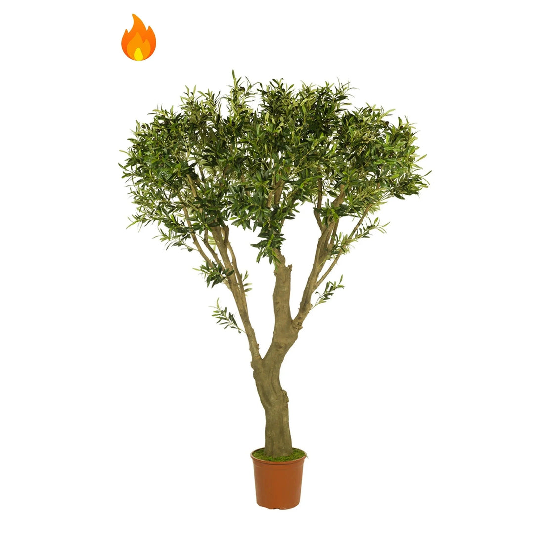 Olivo artificial ignífugo de 200 cm