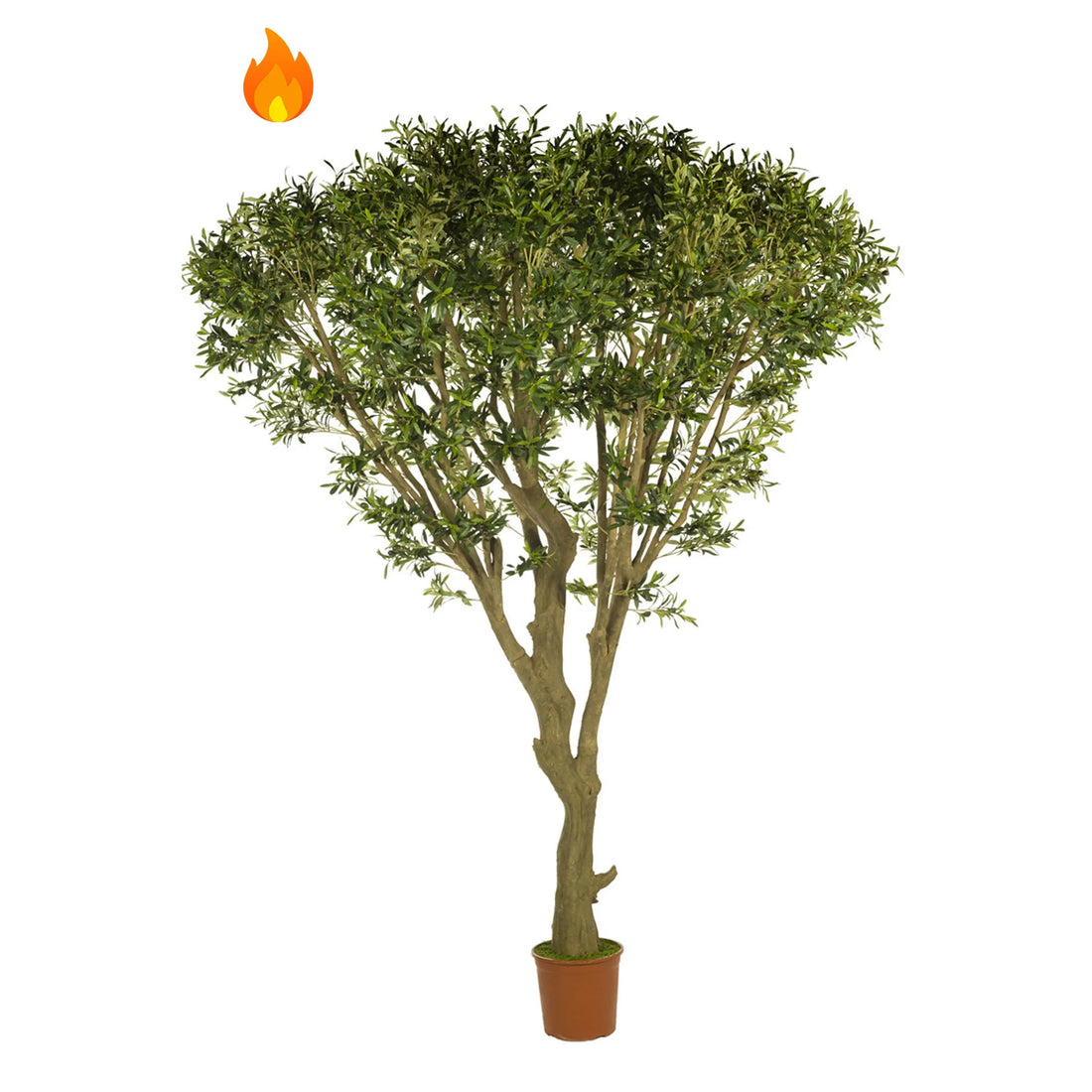 Olivo artificial Ignífugo de 250 cm, color verde