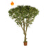 Olivo artificial Ignífugo de 250 cm, color verde