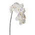 Orquídea artificial de 112 cm, color blanco