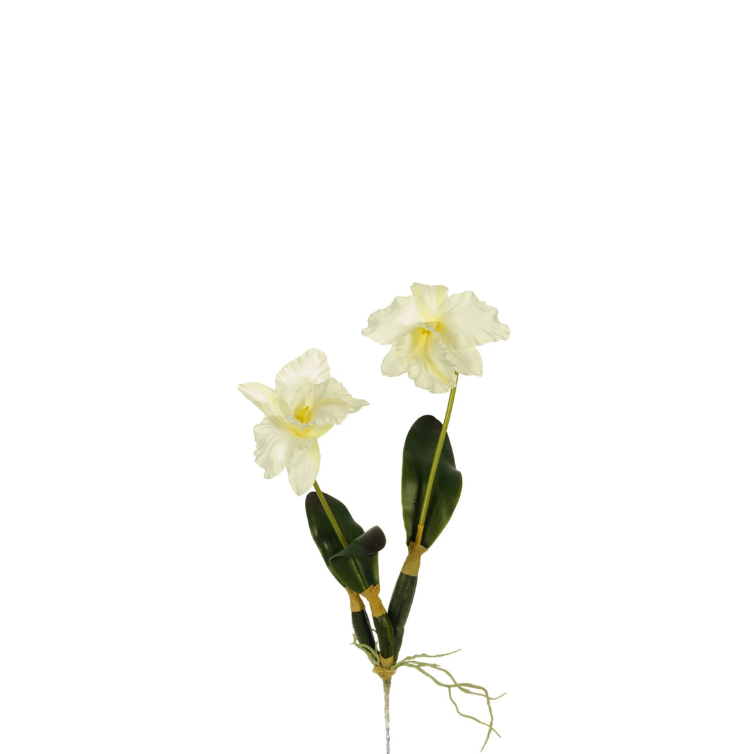 Orquídea artificial con Hojas y Raíces de 50 cm, color blanco