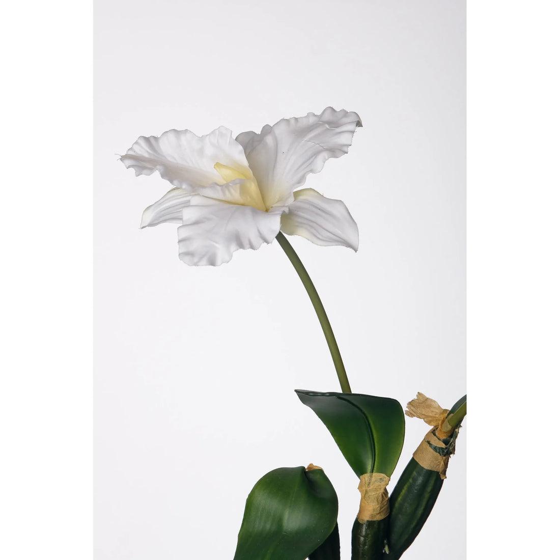 Orquídea artificial con Hojas y Raíces de 50 cm, color blanco