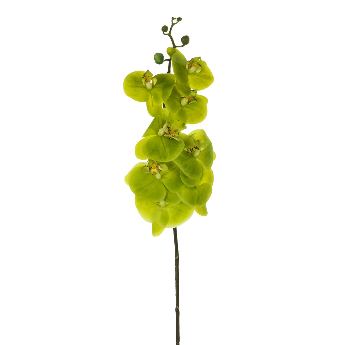 Orquídea artificial de Flor Grande de 97 cm, color verde