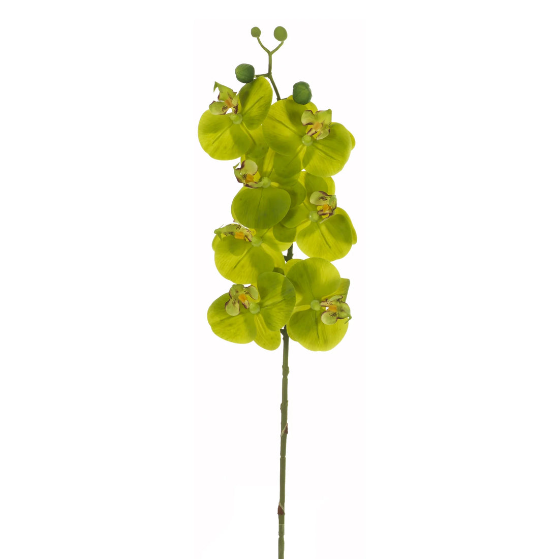 Orquídea artificial de Flor Mediana de 74 cm, color verde