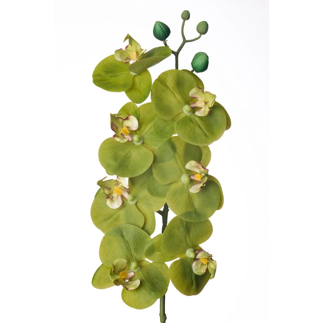 Orquídea artificial de Flor Mediana de 74 cm, color verde
