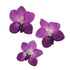Orquídea artificial Flotante de 10 cm, color lila