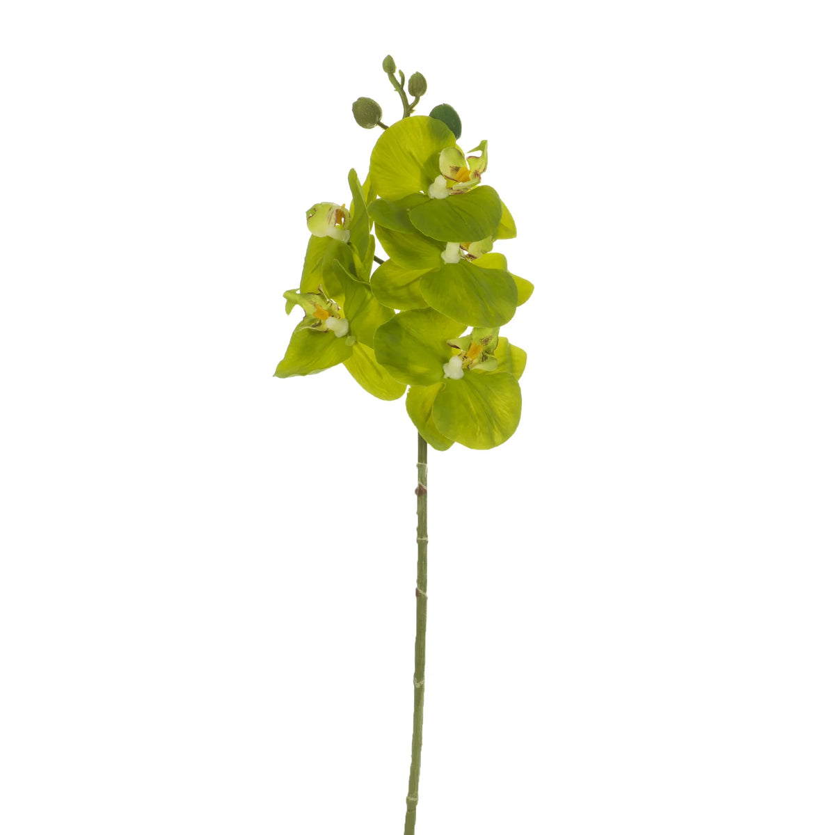 Orquídea artificial Pequeña de 47 cm, color verde