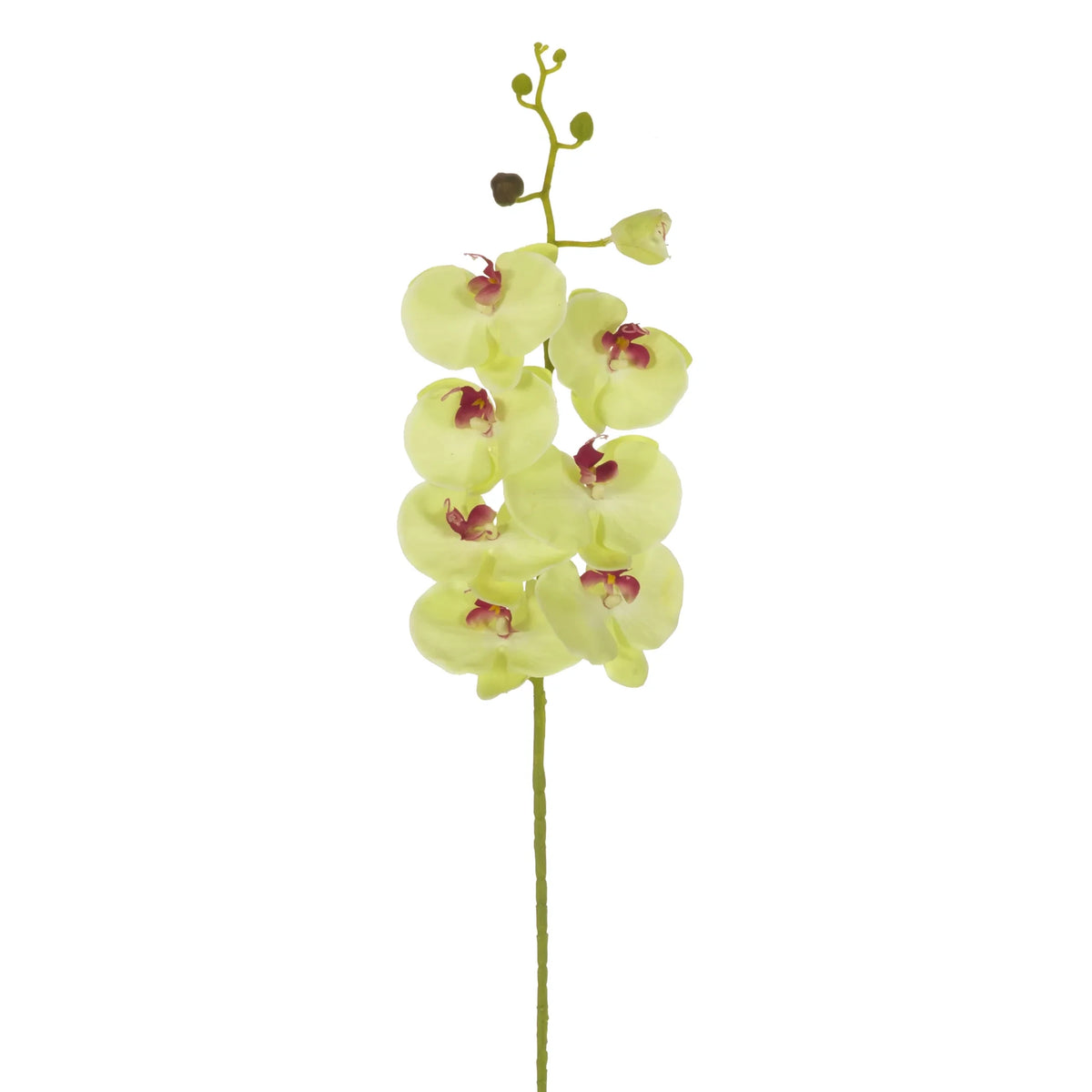 Orquídea Phalaenopsis artificial de 103 cm, color verde