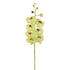 Orquídea Phalaenopsis artificial de 103 cm, color verde