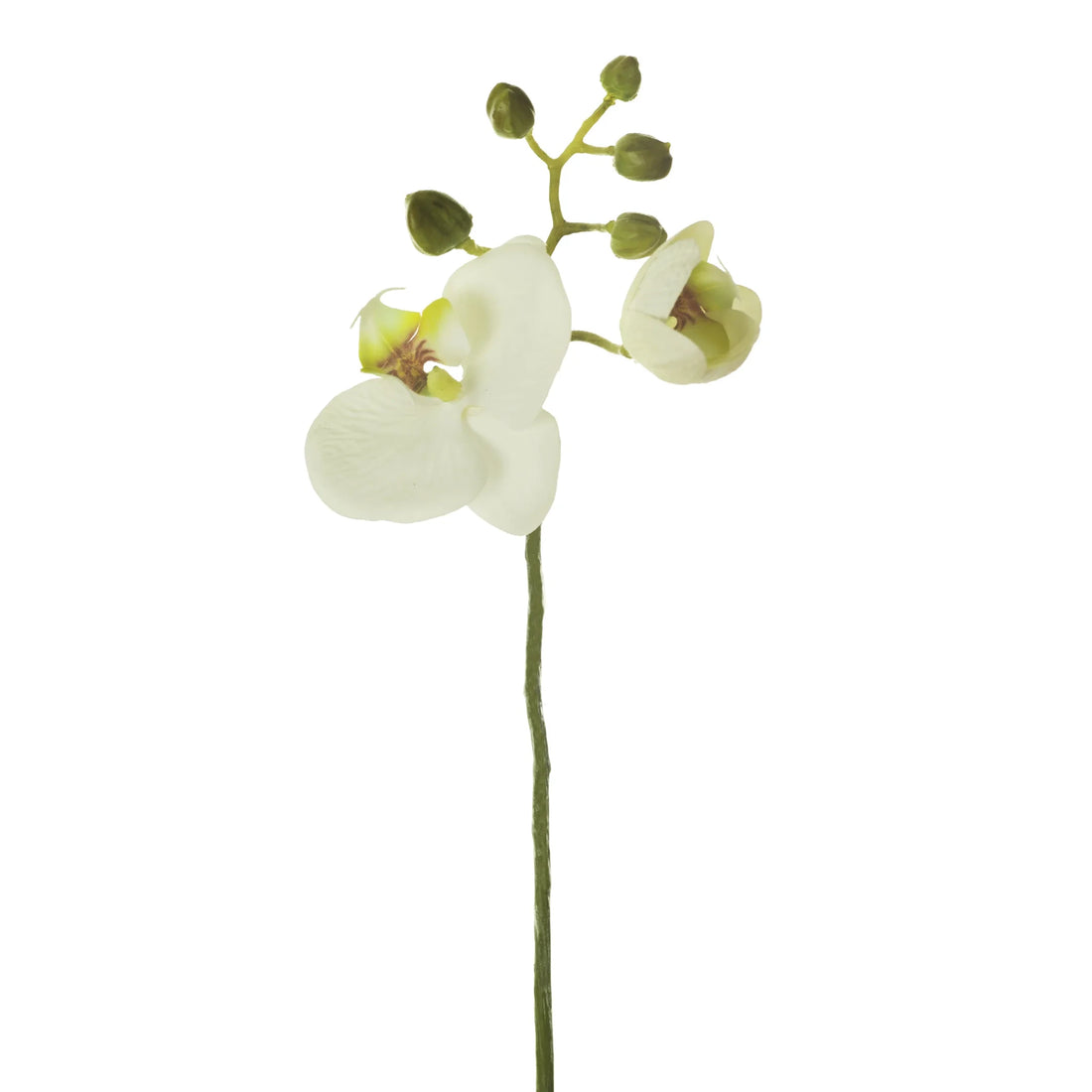 Orquídea Phalaenopsis artificial de 25 cm, color blanco