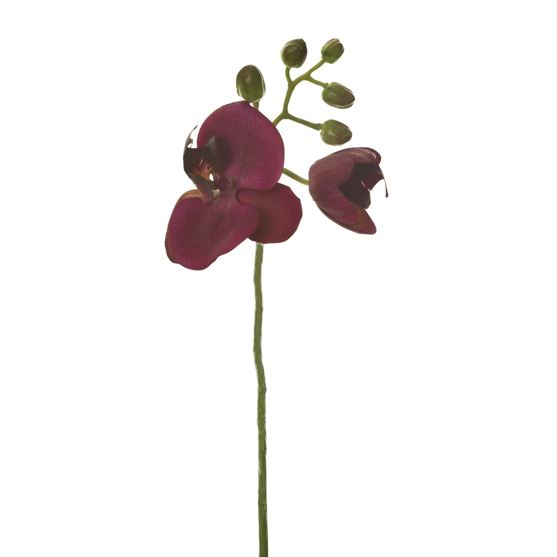 Orquídea Phalaenopsis artificial de 25 cm, color fucsia