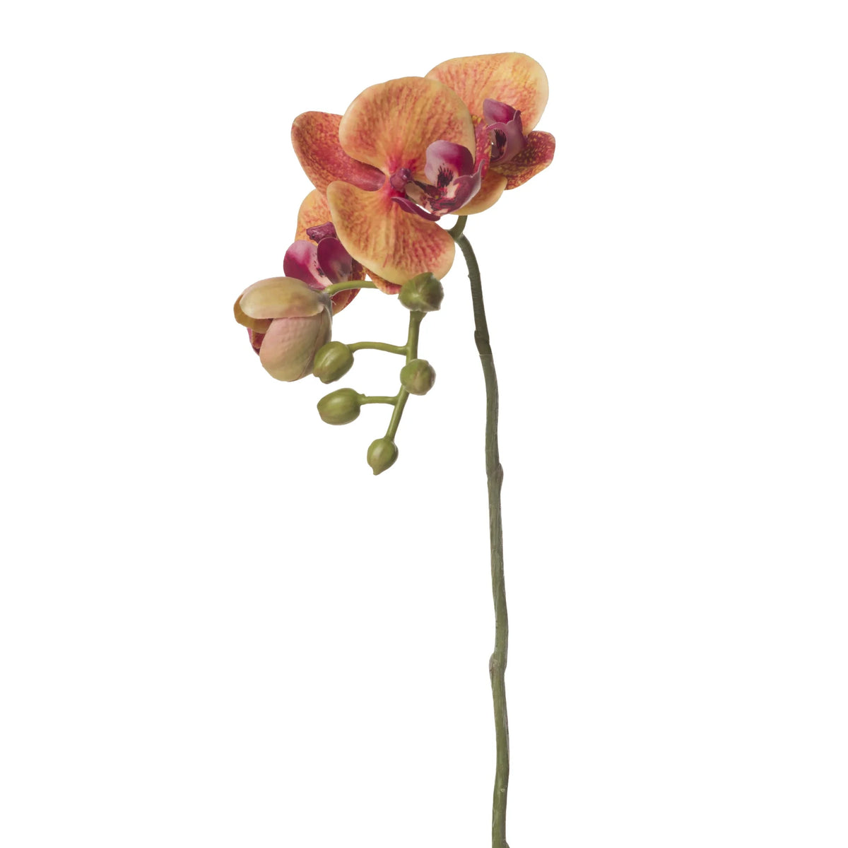 Orquídea Phalaenopsis artificial de 42 cm, color mostaza