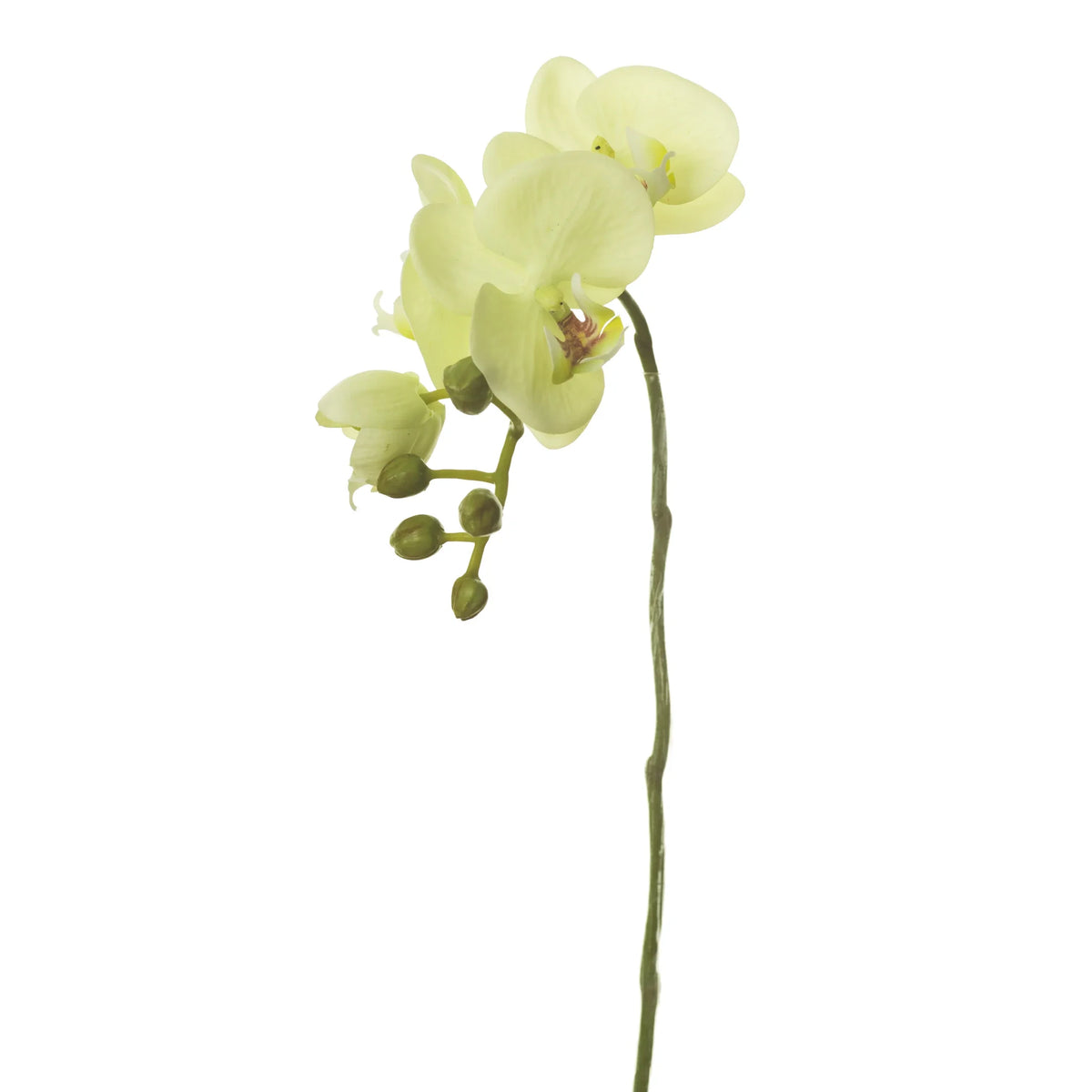 Orquídea Phalaenopsis artificial de 42 cm, color verde