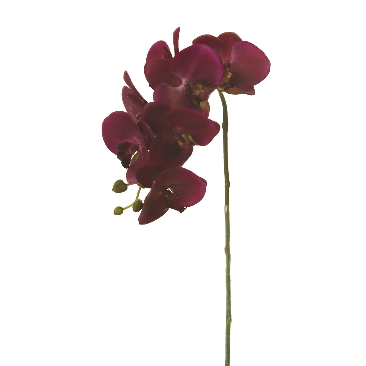 Orquídea Phalaenopsis artificial de 65 cm, color fucsia