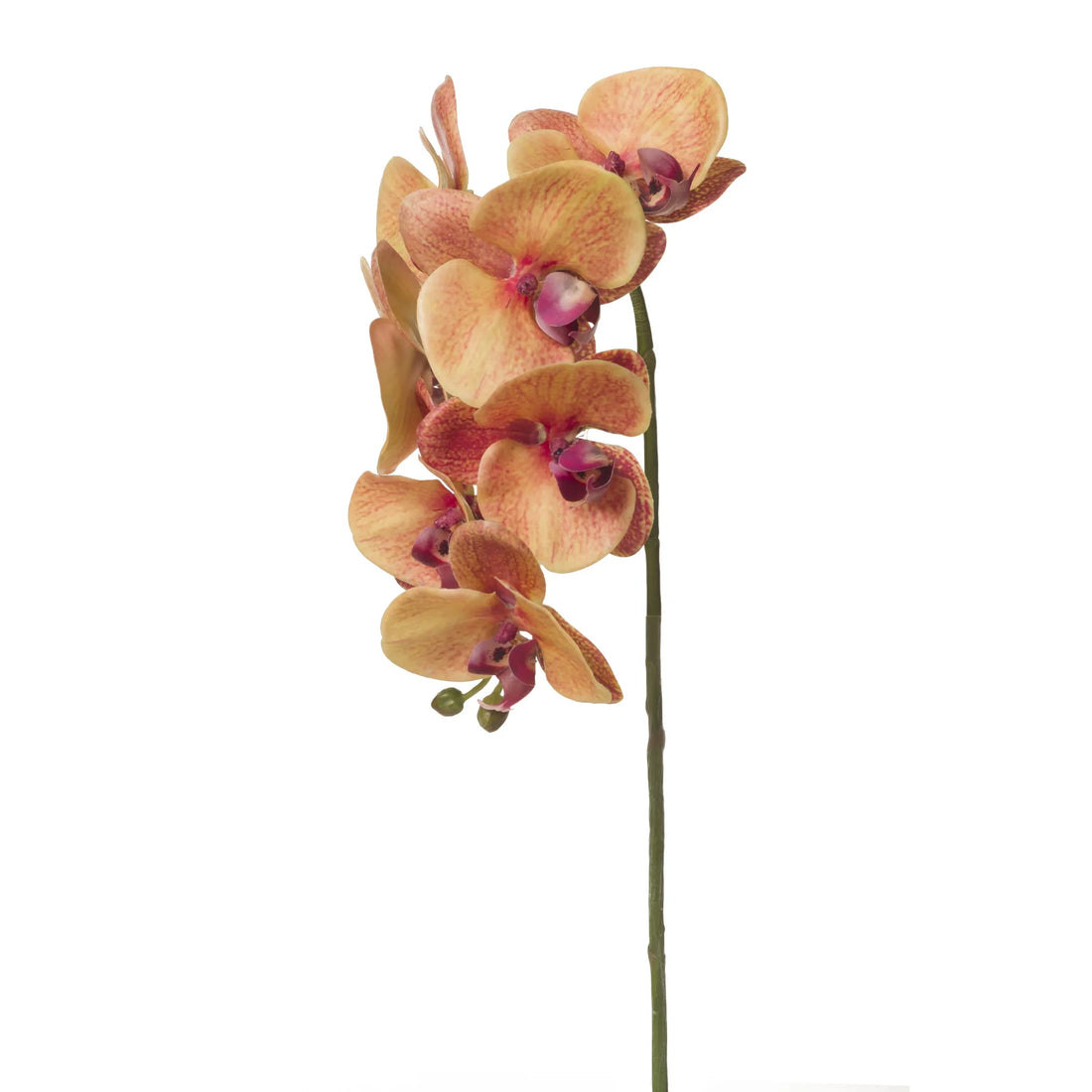 Orquídea Phalaenopsis artificial de 65 cm, color mostaza