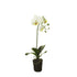 Orquídea Phalaenopsis artificial con Raíces y Arena de 38 cm, color blanco