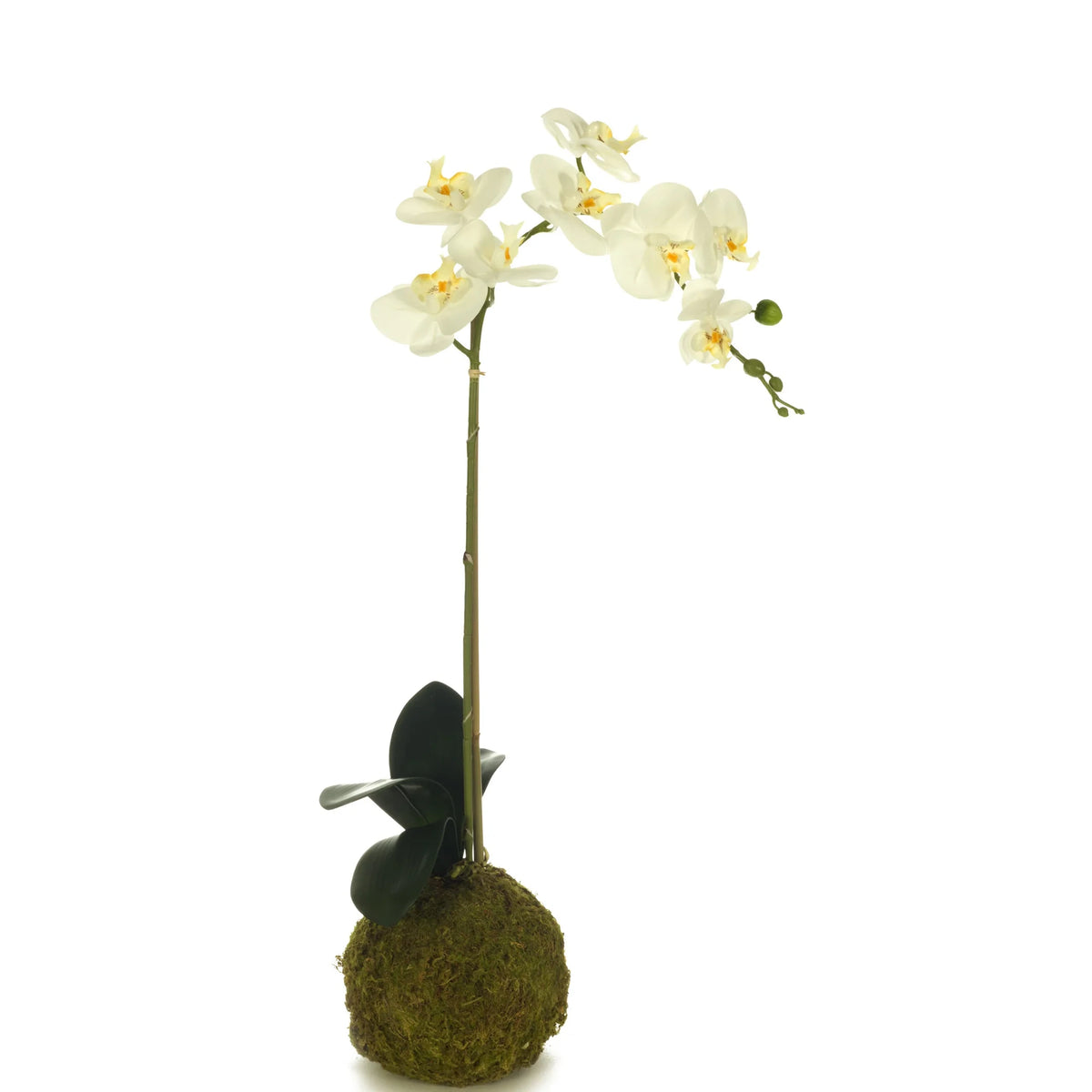 Orquídea Phalaenopsis artificial Grande con Bola de Musgo de 95 cm, color blanco