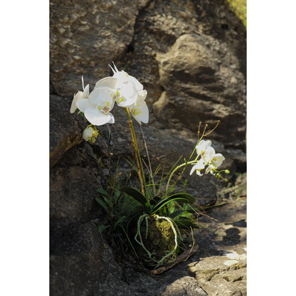 Montaje: orquídea Phalaenopsis artificial Grande con Bola de Musgo de 95 cm, color blanco; las otras piezas no se incluyen