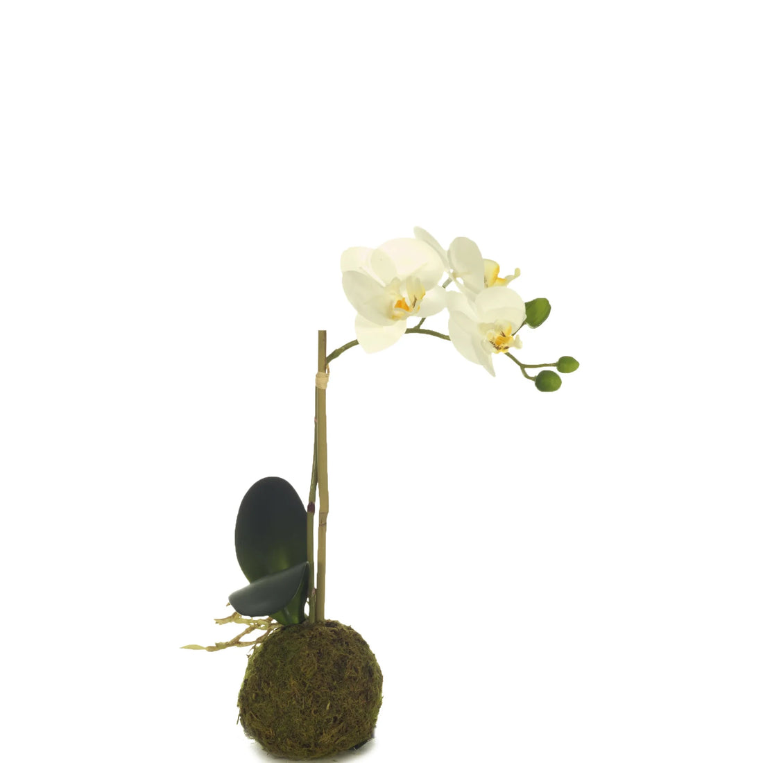 Orquídea Phalaenopsis artificial Pequeña con Bola de Musgo de 37 cm, color blanco