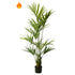 Palmera Kentia artificial Ignífuga de 220 cm, color verde