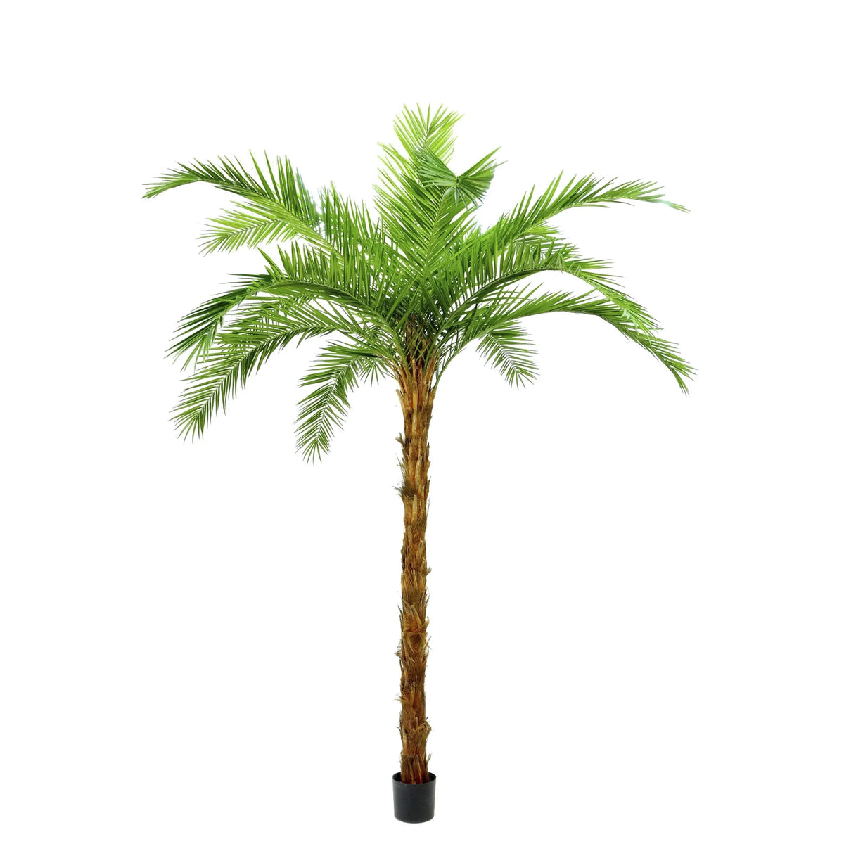 Palmera Phoenix artificial de 340 cm, color verde