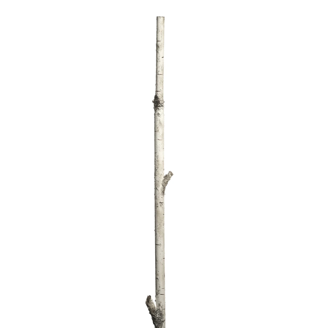 Palo de Abedul artificial de 180 cm, color blanco