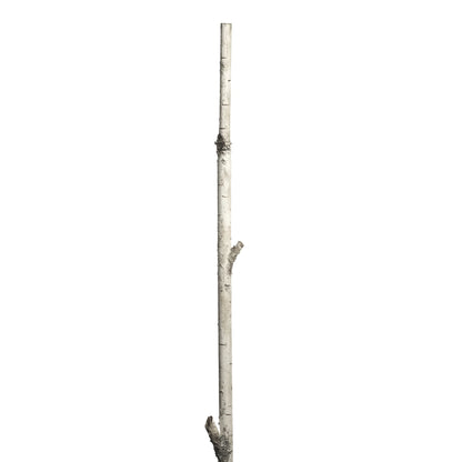 Palo de Abedul artificial de 180 cm, color blanco