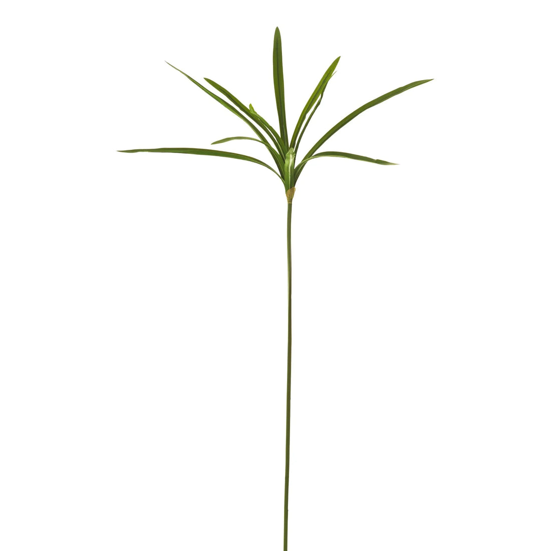 Papiro artificial de 102 cm, color verde