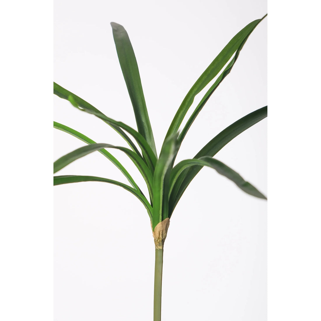 Papiro artificial de 102 cm, color verde