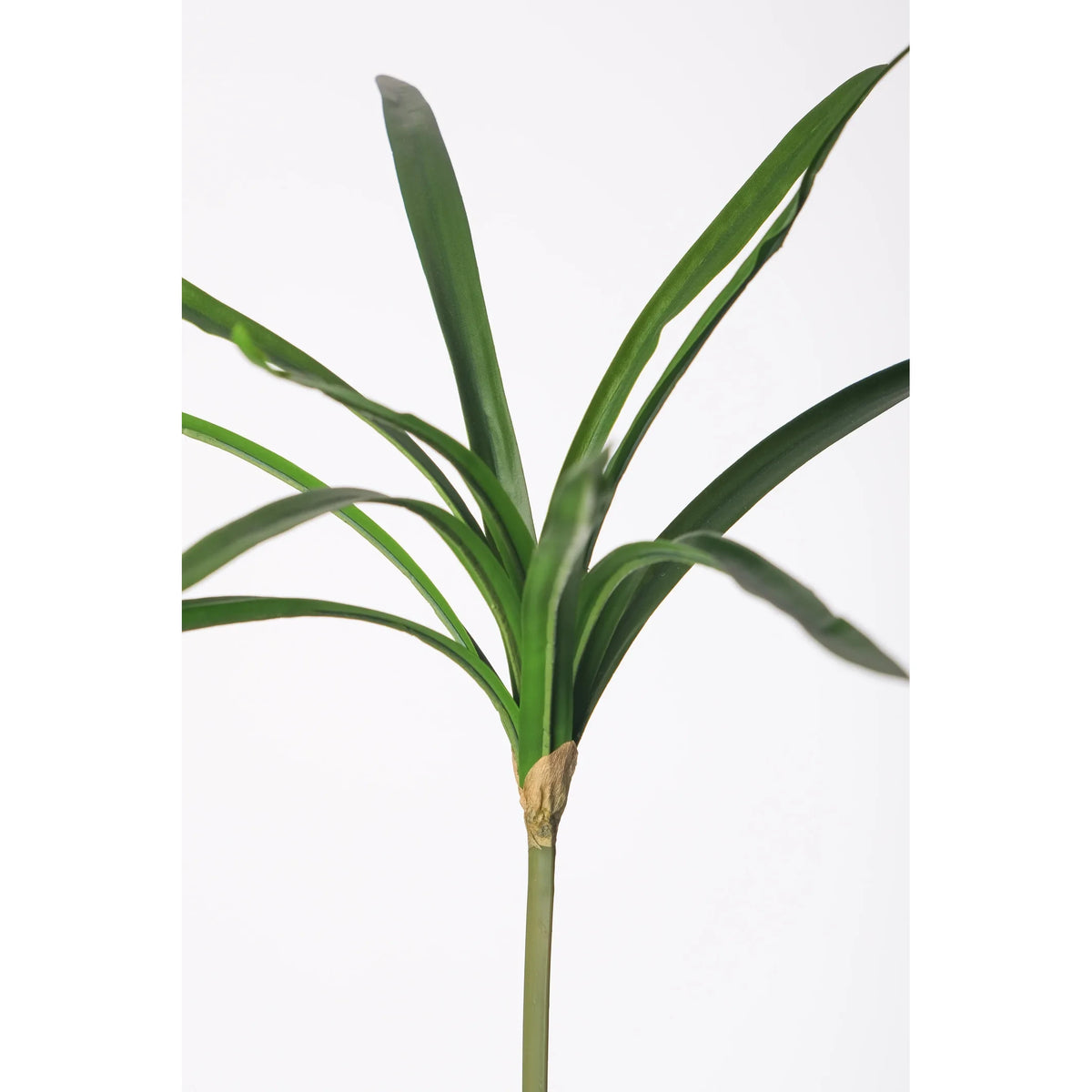 Papiro artificial de 102 cm, color verde