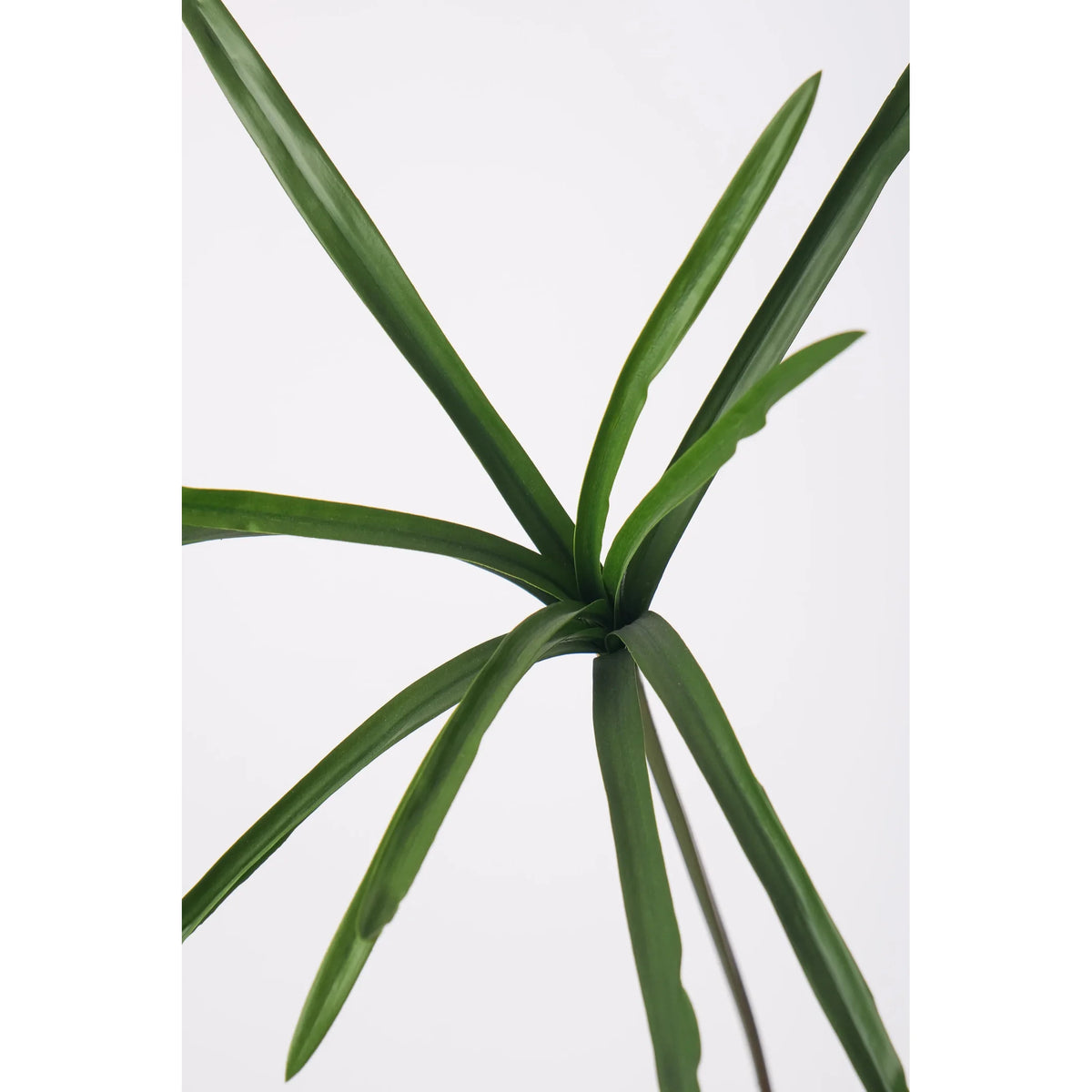 Papiro artificial de 102 cm, color verde