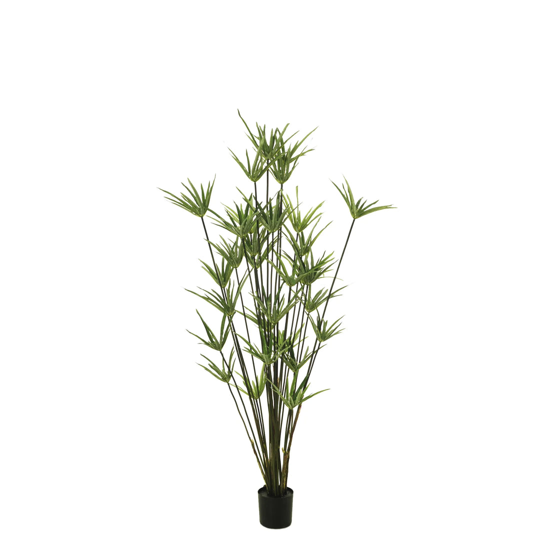 Papiro artificial de 137 cm, color verde