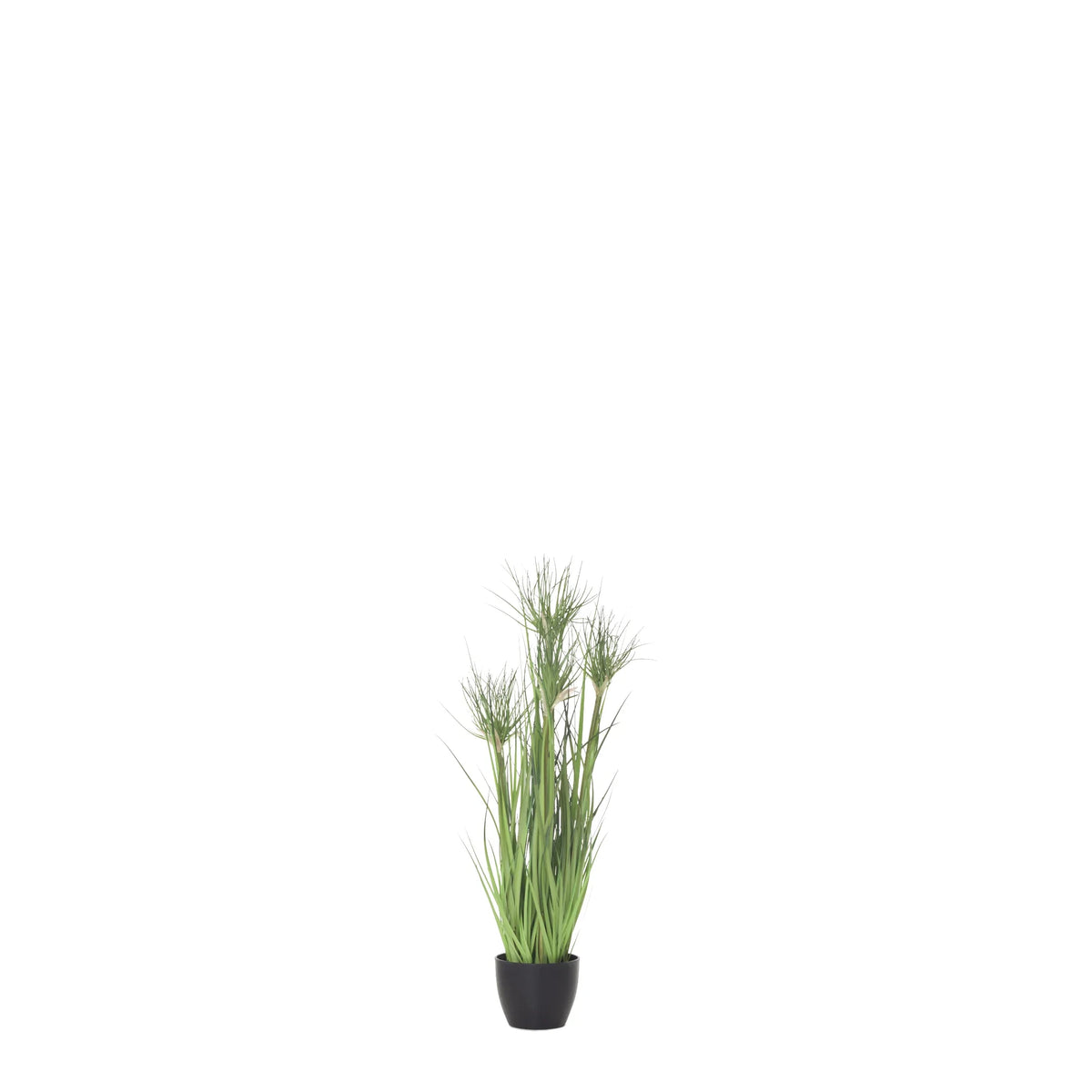 Papiro artificial de 62 cm, color verde