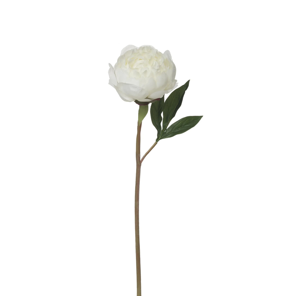 Peonía artificial Cerrada de 41 cm, color blanco