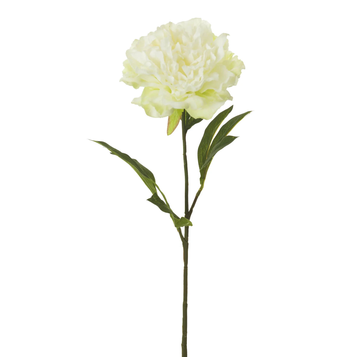 Peonía artificial Clásica Abierta de 80 cm, color blanco y verde